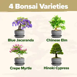 Bauen Sie Ihr eigenes Pflanzen-Kit an Komplettsatz für Pflanzen Bonsai-Starterset mit detaillierten Anweisungen Gartengeschenke für Mutter