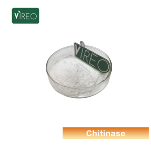 Quitina en Polvo de Cáscaras de Camarón, Enzima Quitinasa, Quitina en Polvo de Grado Alimenticio - Product Image 1