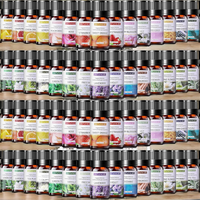 Ensemble d'huiles essentielles d'aromathérapie de haute qualité 10 ml, citron vert hydratant, lavande, diffuseurs, humidificateurs, boules de bain pour la fabrication de bougies