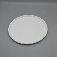Assiette à pizza biodégradable en canne à sucre de 12 pouces, jetable et compostable, pour fêtes, micro-ondable, fabriquée à partir de bagasse, kits de fournitures pour fêtes