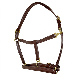Harnais de cheval en cuir de style anglais de haute qualité - Conception anatomique durable, tailles et logo personnalisables pour usage équestre - Product Image 1