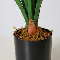 Fausse plante Dracaena Anita, plantes de table, petite plante artificielle, arbre artificiel, décoration d'intérieur, 60cm