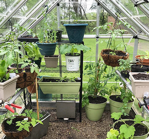 6 قدم * 12 قدم في الهواء الطلق المشي في حديقة البولي الدفيئة مع إطار الألومنيوم - Product Image 4