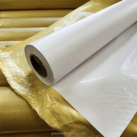 Impression de publicité extérieure Pvc vinyle bannière Panaflex rouleaux Pvc Flex bannière 440 Pvc Flex bannière brillant