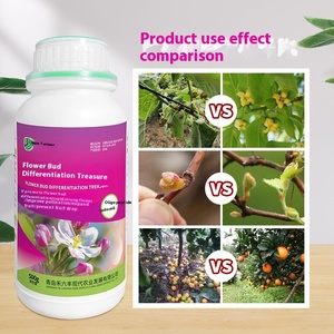 <span class=keywords><strong>Engrais</strong></span> agricole biologique Différenciation rapide des bourgeons floraux Trésor Forte promotion pour le liquide des terres agricoles à usage général - Product Image 4