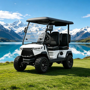 Véhicule de patrouille électrique tout-terrain pour campus, voiturette de golf, suspension à double bras pour utilisation hors route publique, homologué DOT CE EEC - Product Image 1