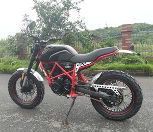 111838 chine motos bon marché pour la vente <span class=keywords><strong>moto</strong></span> FUEGO <span class=keywords><strong>scrambler</strong></span> 250 ville <span class=keywords><strong>moto</strong></span> rue <span class=keywords><strong>moto</strong></span> nouveau design <span class=keywords><strong>moto</strong></span> - Product Image 3