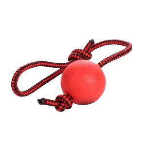 En iyi tasarım en iyi oyuncak tenis topu sert tenis topu bir ip üzerinde Pet - Product Image 2