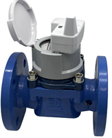Cadran sec de compteur d'eau en vrac Younio R160 Smart Woltman avec support OEM