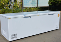 Congélateur coffre horizontal grande capacité WKN 2 portes à froid direct, température unique, N-ST Climate, excellente qualité, en promotion