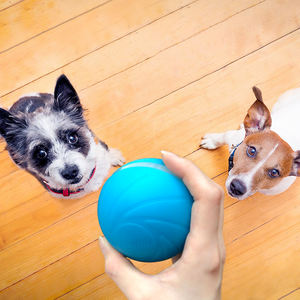 rechargeable dog ball
