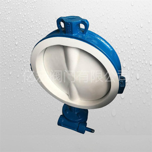 Vanne papillon doublée de PTFE D371F4 pour applications chimiques et pharmaceutiques - Product Image 4