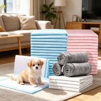 Tapis absorbant pour animaux de compagnie, imperméable, avec dos antidérapant, contrôle des odeurs, jetable, pour chat et chien, usage quotidien en intérieur