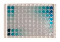 Anticorps glomérulaire de membrane de sous-sol de rat rapide d'étape, kit de GBM-Ab ELISA