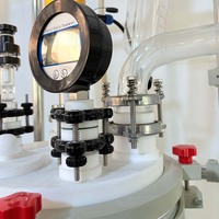 Réacteur en verre ultrasonique de 50 L à l'échelle pilote pour la synthèse chimique, équipement de laboratoire pour réactions sonochimiques