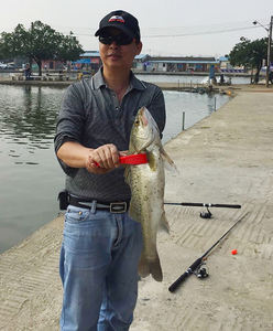 Contrôleur de poisson en plastique ABS en gros avec ligne perdue support de poisson interrupteur serrure engrenage <span class=keywords><strong>pince</strong></span> outils de pêche - Product Image 6