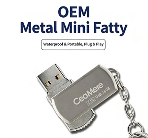 Clé USB 2.0 en gros C13 – 128 Mo, 256 Mo, 512 Mo, 1 Go, 2 Go, 4 Go, 8 Go, 16 Go, 32 Go, 64 Go, 128 Go – Clés USB en vrac à prix abordable - Product Image 1