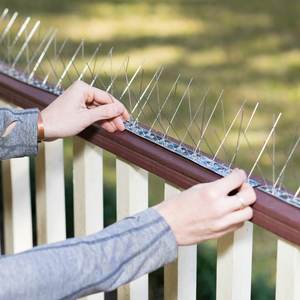 Puntas de pájaro ecológicas, accesorios de acero inoxidable antiaves, repelente de moscas, gato, animales pequeños, disuasorio, Animal desechable sólido - Product Image 3