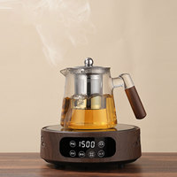 Teco modern ramah lingkungan dari kaca borosilikat tinggi, dengan infuser stainless steel yang dapat dilepas dan dikunci, serta gagang kayu.