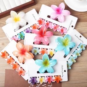 महिलाओं के लिए नए फैशन सुरुचिपूर्ण अंडे का फूल शार्क क्लिप महिलाओं के लिए हेयर क्लिप हेयर क्लिप - Product Image 4