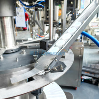 Remplisseuse automatique de sachets à bec verseur pour liquide de lessive 2KG 5L Remplisseuse de sachets à buse pour détergent à lessive