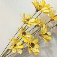 멜론 씨앗 꽃 공장 도매 해바라기 씨앗 심기 꽃 마른 꽃 선물 가정/결혼식 준비