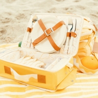 Sac de pique-nique personnalisé de qualité supérieure avec design modulaire et toile haut de gamme pour les rassemblements en plein air