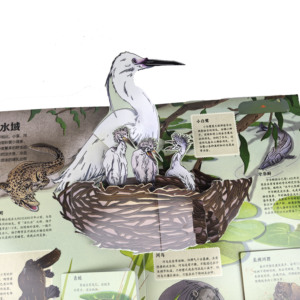 Biểu Tượng Tùy Chỉnh Giáo Dục 3D Pop Lên Trẻ Em In Ấn Cuốn Sách Trẻ Em Của Tùy Chỉnh Pop PP Cuốn Sách Câu Chuyện Một Pop Lên Trẻ Em Sách - Product Image 6