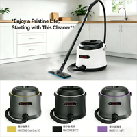 Nettoyeur de taches professionnel portable CE haute performance léger pour tissus, utilisation humide et sèche, aspirateur vapeur pour tapis