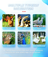 Incubateur d'œufs automatique 1506 en promotion pour l'éclosion de poulets, canards, oies, cailles et autruches