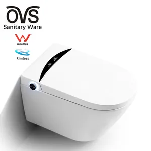 OVS वॉटरमार्क ऑस्ट्रेलिया बुद्धिमान शौचालय स्मार्ट झांक चीनी सीट बिजली Bidet कवर स्वचालित शौचालय