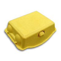 Cartons à œufs en pulpe de papier moulés, vente chaude, 6 œufs par carton