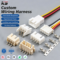 Kabel Harness Konektor Terminal JST SH GH ZH PH XH Molex Dupont SUR untuk Sepeda Motor dan Mobil, Pitch 0.8-2.54mm, 1-40 Pin