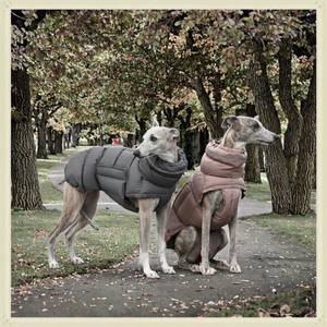 कुत्ते के कपड़े शरद ऋतु सर्दियों में गर्म पानी का सबूत ठोस दो पैर कपास-पंड कोट पालतू सामान - Product Image 3