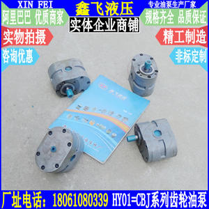 Bomba de Engranajes de Ahorro de Energía HY01-8X15/HY01-12X20/CBJ-8*15/CBJ-12*20 para Aplicaciones Hidráulicas - Product Image 1