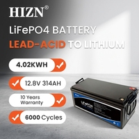 12V 300Ah 48V 400Ah 314Ah 150Ah 51.2V 100Ah 5Kw 25.6V 12V100Ah 48 V 12.8V 3.2V 280Ah 200Ah 24V Baterai Lifepo4