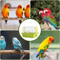 Solide générique extérieur Portable voyage oiseau transporteur qualité fournitures en plastique pour inséparables perroquets moyens perruches calopsittes