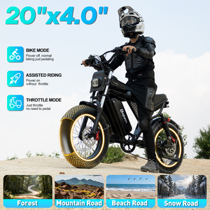 אופני הרים חשמליים Ridstar Q20 20 אינץ' 48V 25AH לכל שטח, אופני שטח חשמליים למבוגרים עם אזעקה ובלוטות' - Product Image 1