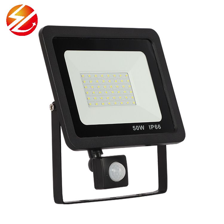 LED PIR Motion Sensor Flood Light 100W 50W 30W 20W 10W Outdoor Lighting Floodlight Spotlight IP66 Waterproof Led Lamp