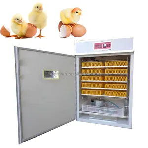 Prix de gros incubateur de poulet machine de haute qualité élevage oeufs 5000 incubateur solaire d'oeufs