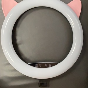 Ring Light 18 Inch LED Remote Control Live Streaming Photography Beauty Fill Light With Stand And Power Adapter - Product Image 3