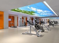 Panneau lumineux LED encastré pour plafond, ciel virtuel intelligent Lumin, ciel bleu, application, gradation, télécommande, panneau lumineux pour plafond