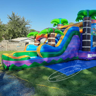 Combo de châteaux sautants de toboggan gonflable de maison de rebond de Tiki de qualité commerciale pour des enfants et des adultes