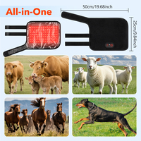 Attelle LED sans fil rechargeable 660 nm pour chevaux, coussin de thérapie LED 3000 mAh pour le soulagement des douleurs aux tendons des chiens