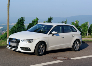 Factory Directly Sell High End In-channel Injection Deflector Window <b>Visor</b> for AUDI A3 2012-2020 - Product Image 3