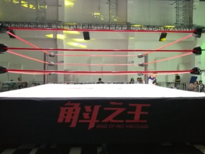 Bague FightBro EMM <span class=keywords><strong>MMA</strong></span> - Product Image 2