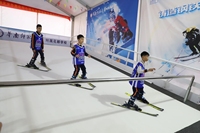 Chine oem gym fitness machine simulateur de ski équipement