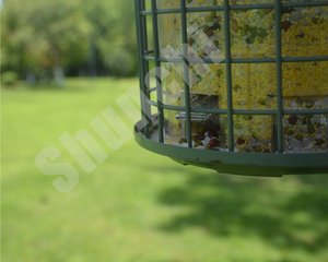 Top Luxury <strong>Anti</strong> <strong>Squirrel</strong> Bird <strong>Feeder</strong> 10L Very Big Capacity - Product Image 5