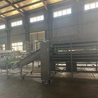 4600 PCS/H technologie d'automatisation Machine alimentaire Taco ligne de Production cuisson refroidissement empilage pressage stratification sûr et sain