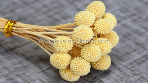 Ramo de Flores Secas Naturales Preservadas, Personalizable, Decoración Nupcial para Bodas, Top Ventas 2026, Bola Dorada - Product Image 3